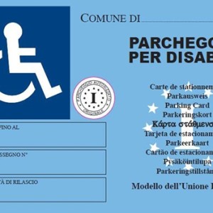 392512_5223_xl_Pass_disabili_europeo1